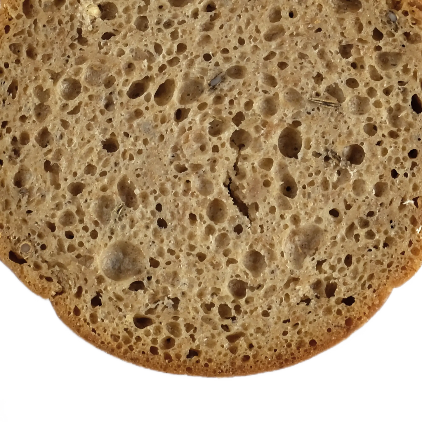 6x Demeter BIO Frankenlaib (Gewürzbrot) | ca. 400g je Dose