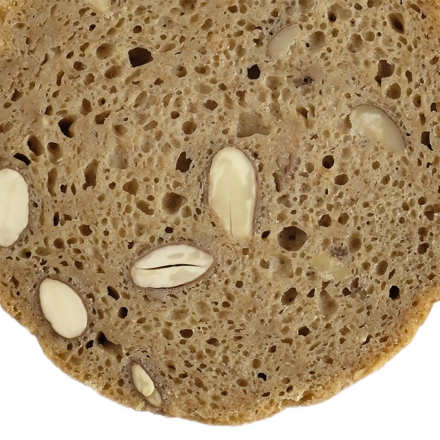 6x Demeter BIO Nussbrot | ca. 400g je Dose